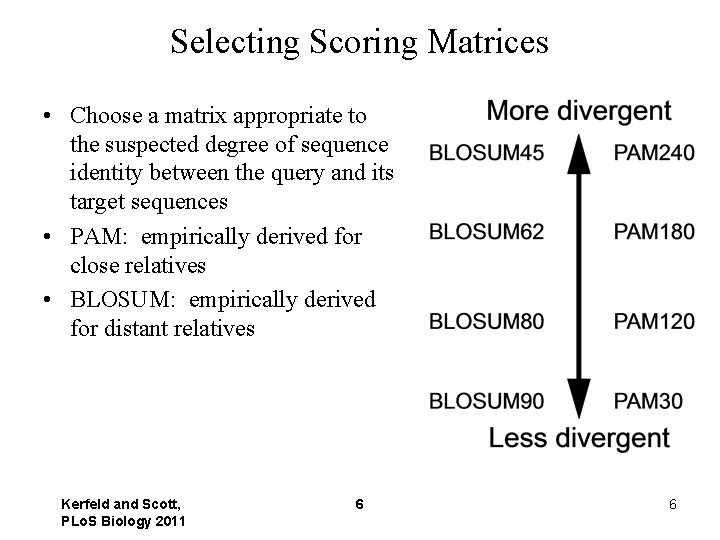 Selecting Scoring Matrices • Choose a matrix appropriate to the suspected degree of sequence