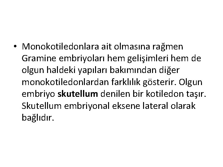  • Monokotiledonlara ait olmasına rağmen Gramine embriyoları hem gelişimleri hem de olgun haldeki
