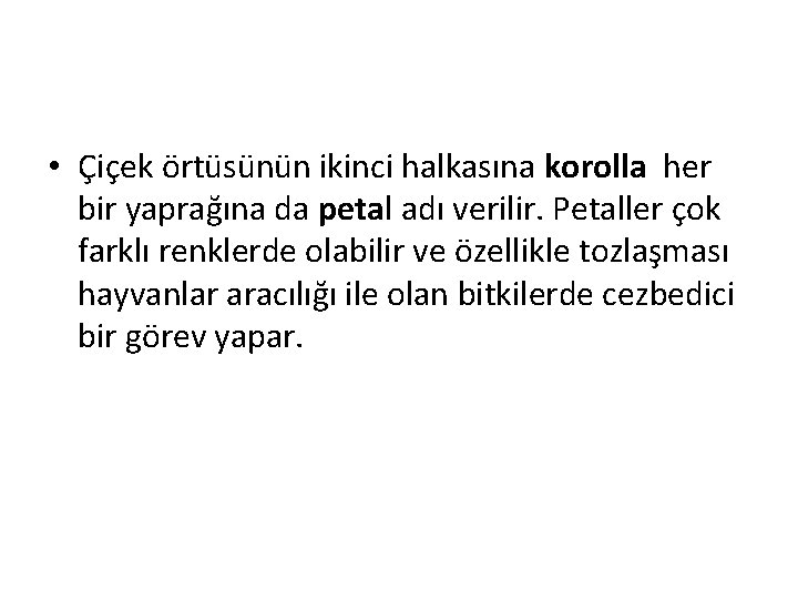 • Çiçek örtüsünün ikinci halkasına korolla her bir yaprağına da petal adı verilir.