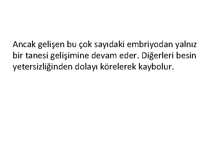 Ancak gelişen bu çok sayıdaki embriyodan yalnız bir tanesi gelişimine devam eder. Diğerleri besin