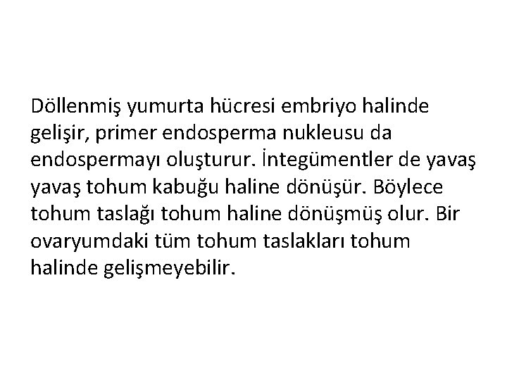 Döllenmiş yumurta hücresi embriyo halinde gelişir, primer endosperma nukleusu da endospermayı oluşturur. İntegümentler de