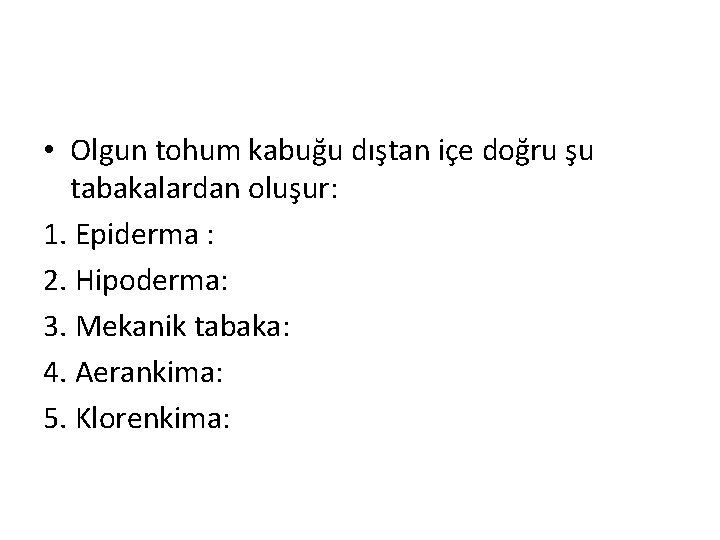  • Olgun tohum kabuğu dıştan içe doğru şu tabakalardan oluşur: 1. Epiderma :