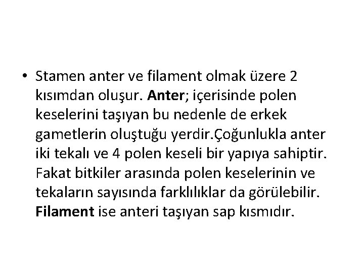  • Stamen anter ve filament olmak üzere 2 kısımdan oluşur. Anter; içerisinde polen