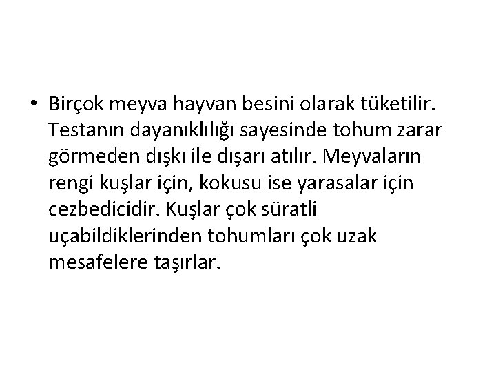  • Birçok meyva hayvan besini olarak tüketilir. Testanın dayanıklılığı sayesinde tohum zarar görmeden