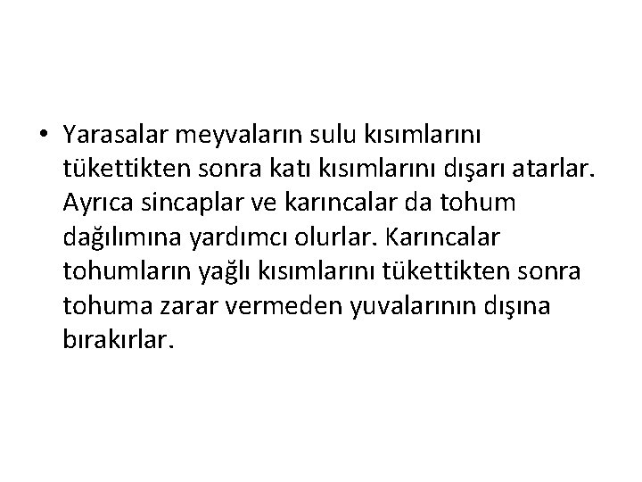  • Yarasalar meyvaların sulu kısımlarını tükettikten sonra katı kısımlarını dışarı atarlar. Ayrıca sincaplar