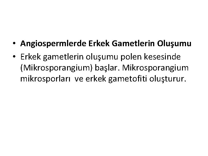  • Angiospermlerde Erkek Gametlerin Oluşumu • Erkek gametlerin oluşumu polen kesesinde (Mikrosporangium) başlar.