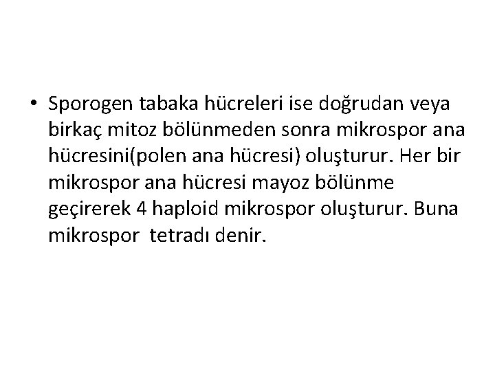  • Sporogen tabaka hücreleri ise doğrudan veya birkaç mitoz bölünmeden sonra mikrospor ana