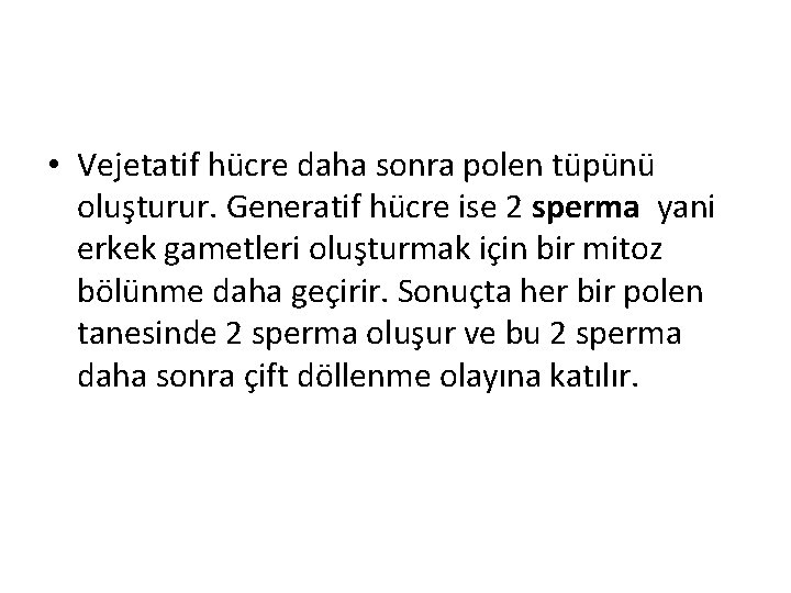  • Vejetatif hücre daha sonra polen tüpünü oluşturur. Generatif hücre ise 2 sperma