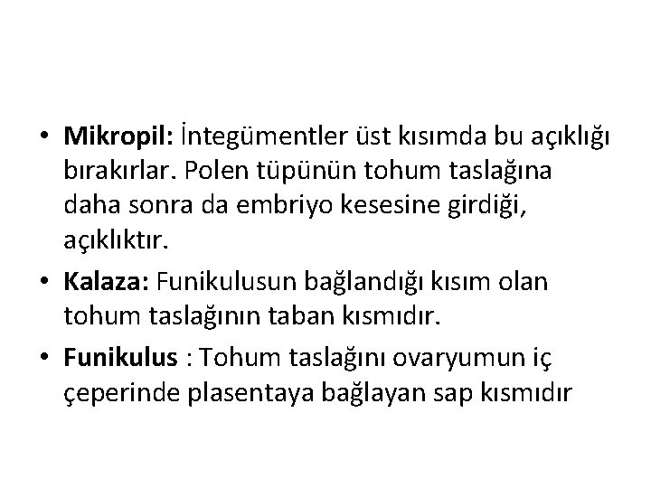  • Mikropil: İntegümentler üst kısımda bu açıklığı bırakırlar. Polen tüpünün tohum taslağına daha