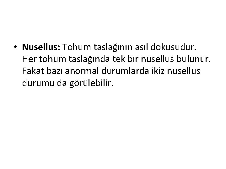  • Nusellus: Tohum taslağının asıl dokusudur. Her tohum taslağında tek bir nusellus bulunur.