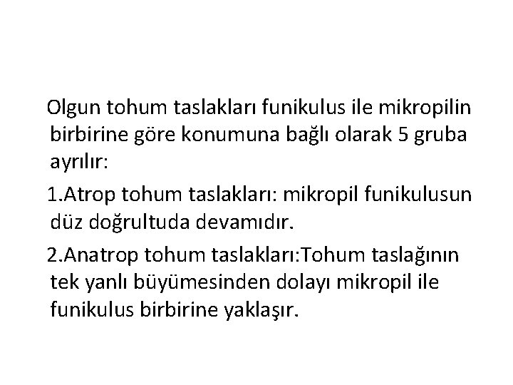 Olgun tohum taslakları funikulus ile mikropilin birbirine göre konumuna bağlı olarak 5 gruba ayrılır: