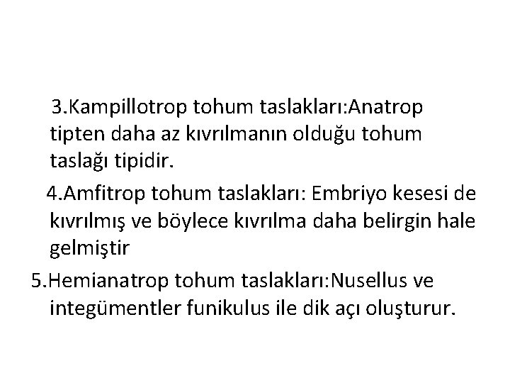 3. Kampillotrop tohum taslakları: Anatrop tipten daha az kıvrılmanın olduğu tohum taslağı tipidir. 4.