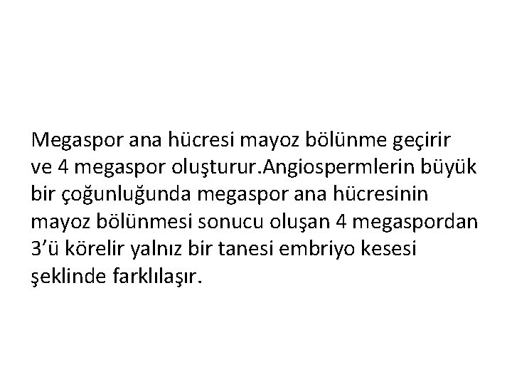 Megaspor ana hücresi mayoz bölünme geçirir ve 4 megaspor oluşturur. Angiospermlerin büyük bir çoğunluğunda