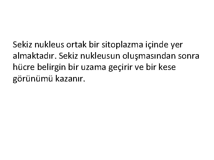 Sekiz nukleus ortak bir sitoplazma içinde yer almaktadır. Sekiz nukleusun oluşmasından sonra hücre belirgin