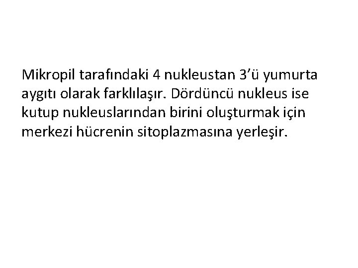 Mikropil tarafındaki 4 nukleustan 3’ü yumurta aygıtı olarak farklılaşır. Dördüncü nukleus ise kutup nukleuslarından