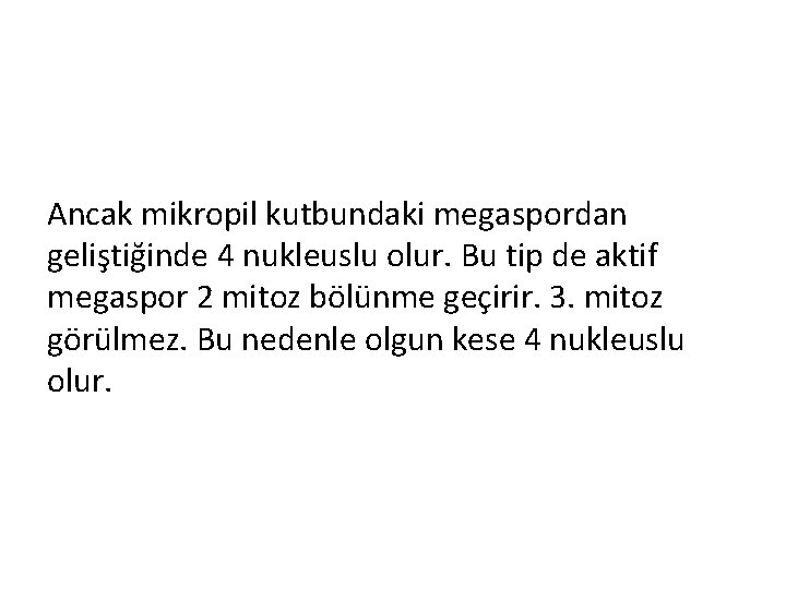 Ancak mikropil kutbundaki megaspordan geliştiğinde 4 nukleuslu olur. Bu tip de aktif megaspor 2