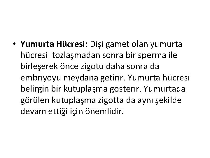  • Yumurta Hücresi: Dişi gamet olan yumurta hücresi tozlaşmadan sonra bir sperma ile