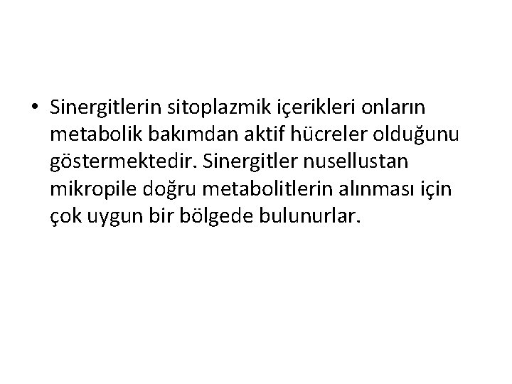  • Sinergitlerin sitoplazmik içerikleri onların metabolik bakımdan aktif hücreler olduğunu göstermektedir. Sinergitler nusellustan