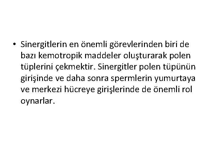  • Sinergitlerin en önemli görevlerinden biri de bazı kemotropik maddeler oluşturarak polen tüplerini
