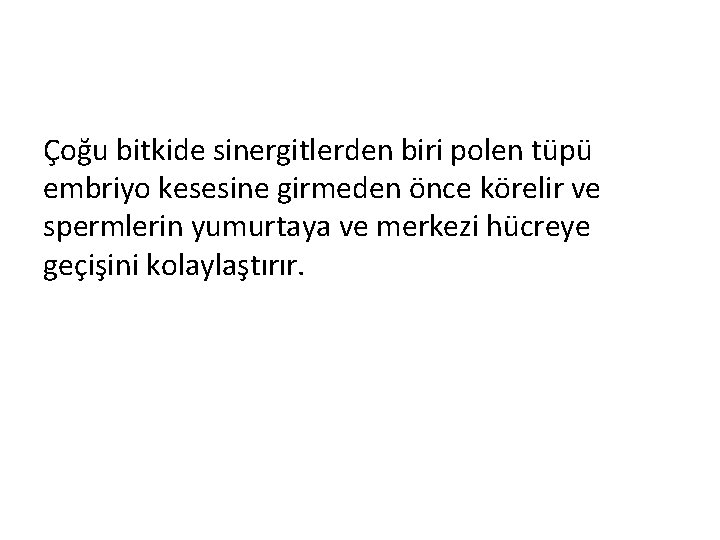 Çoğu bitkide sinergitlerden biri polen tüpü embriyo kesesine girmeden önce körelir ve spermlerin yumurtaya