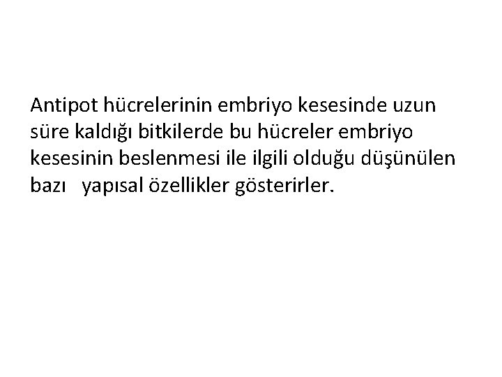 Antipot hücrelerinin embriyo kesesinde uzun süre kaldığı bitkilerde bu hücreler embriyo kesesinin beslenmesi ile