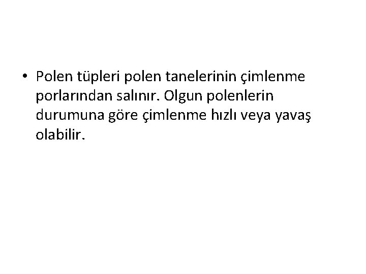  • Polen tüpleri polen tanelerinin çimlenme porlarından salınır. Olgun polenlerin durumuna göre çimlenme