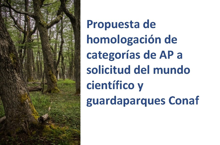 Propuesta de homologación de categorías de AP a solicitud del mundo científico y guardaparques