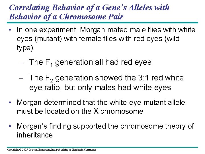 Correlating Behavior of a Gene’s Alleles with Behavior of a Chromosome Pair • In