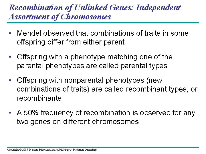 Recombination of Unlinked Genes: Independent Assortment of Chromosomes • Mendel observed that combinations of