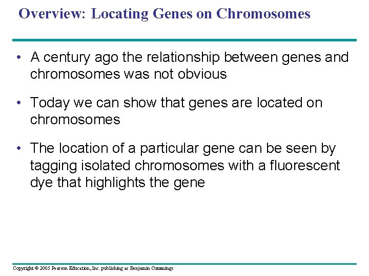 Overview: Locating Genes on Chromosomes • A century ago the relationship between genes and