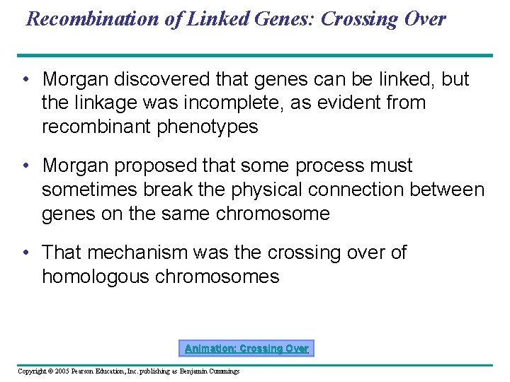 Recombination of Linked Genes: Crossing Over • Morgan discovered that genes can be linked,