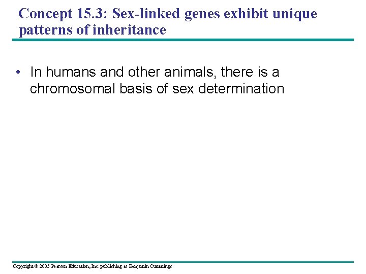 Concept 15. 3: Sex-linked genes exhibit unique patterns of inheritance • In humans and