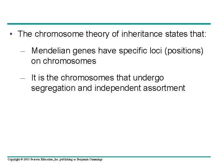  • The chromosome theory of inheritance states that: – Mendelian genes have specific