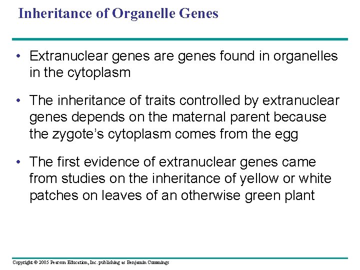 Inheritance of Organelle Genes • Extranuclear genes are genes found in organelles in the