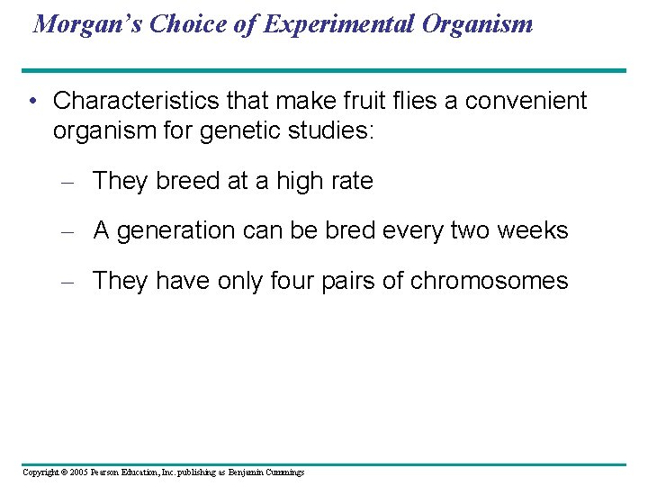 Morgan’s Choice of Experimental Organism • Characteristics that make fruit flies a convenient organism