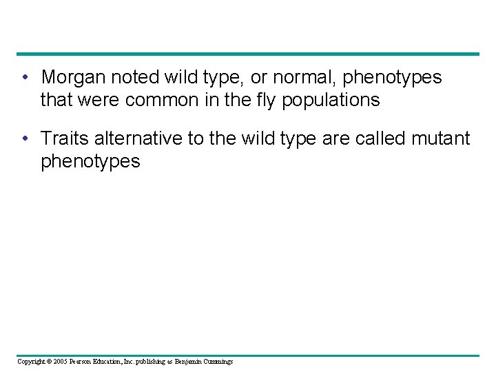  • Morgan noted wild type, or normal, phenotypes that were common in the