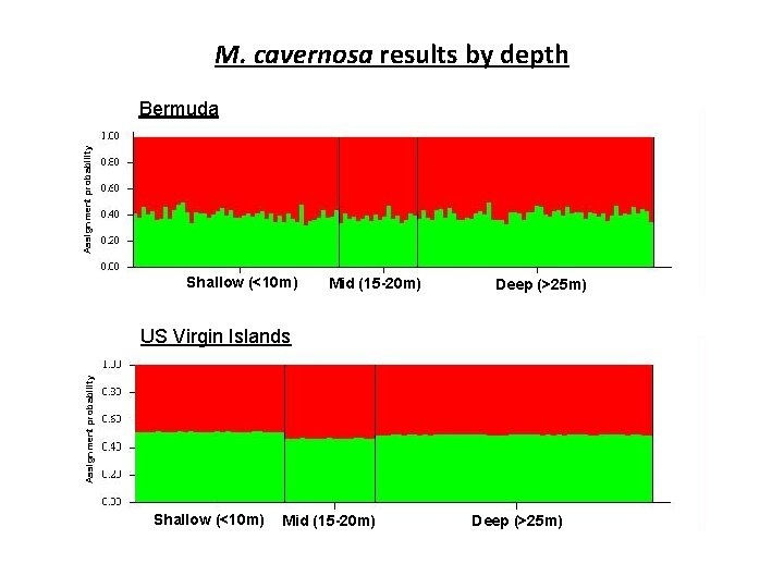 M. cavernosa results by depth Assignment probability Bermuda Shallow (<10 m) Mid (15 -20