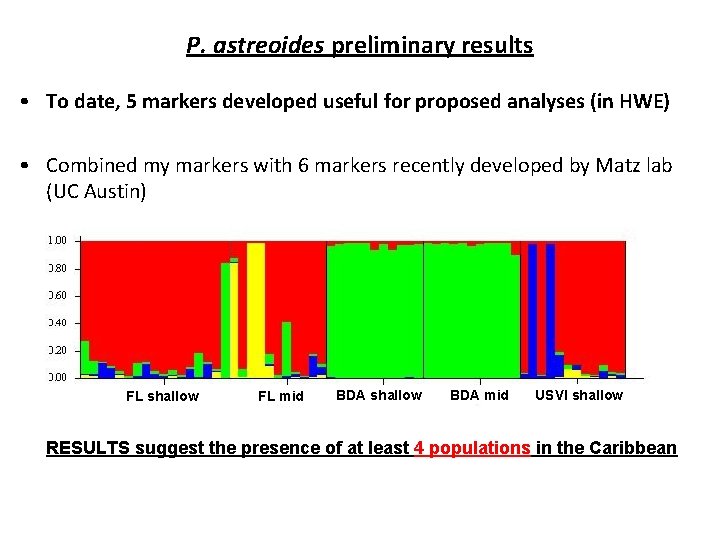 P. astreoides preliminary results • To date, 5 markers developed useful for proposed analyses