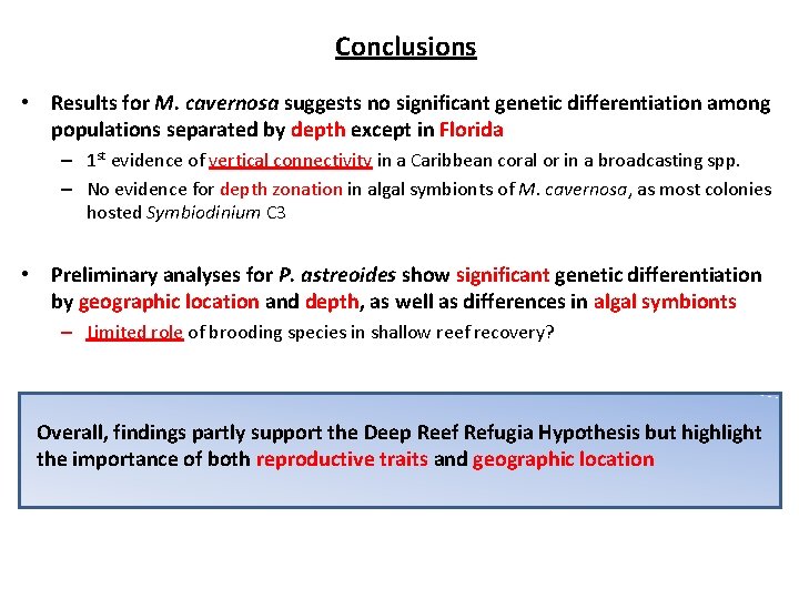 Conclusions • Results for M. cavernosa suggests no significant genetic differentiation among populations separated