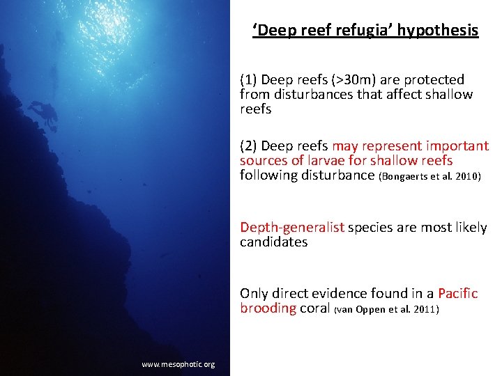 ‘Deep reef refugia’ hypothesis • (1) Deep reefs (>30 m) are protected from disturbances