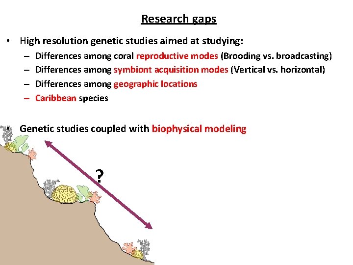 Research gaps • High resolution genetic studies aimed at studying: – – Differences among