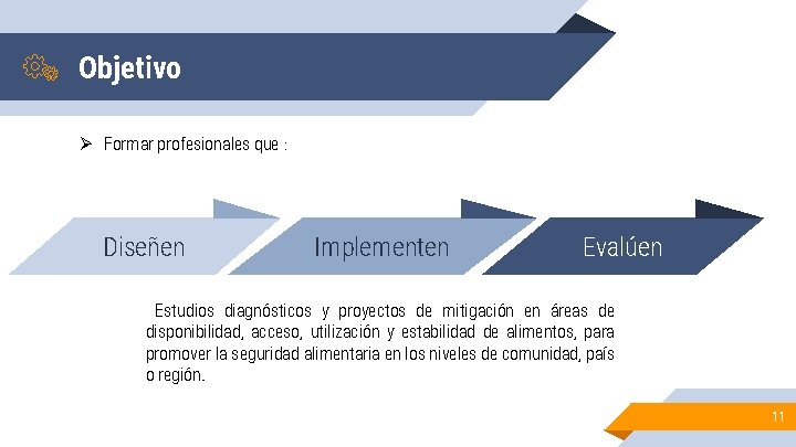 Objetivo Ø Formar profesionales que : Diseñen Implementen Evalúen Estudios diagnósticos y proyectos de