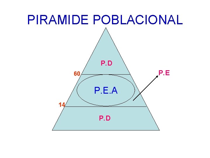 PIRAMIDE POBLACIONAL P. D P. E 60 P. E. A 14 P. D 