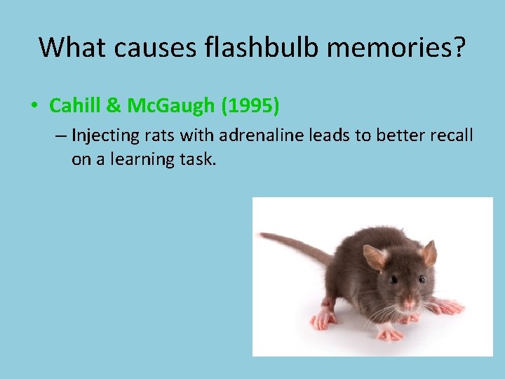 What causes flashbulb memories? • Cahill & Mc. Gaugh (1995) – Injecting rats with