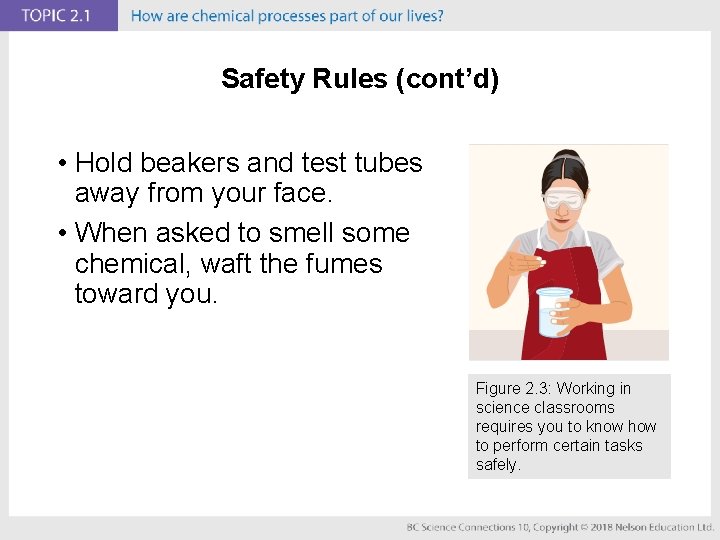 Safety Rules (cont’d) • Hold beakers and test tubes away from your face. •