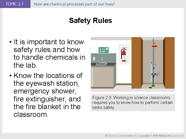 Safety Rules • It is important to know safety rules and how to handle
