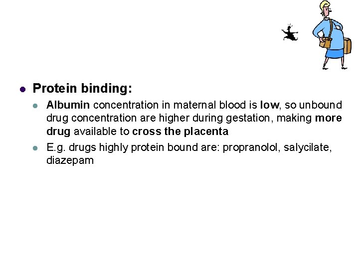l Protein binding: l l Albumin concentration in maternal blood is low, so unbound