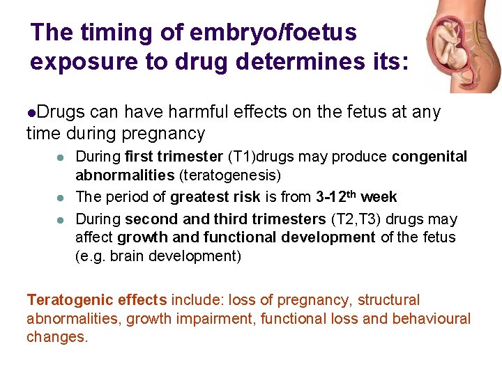 The timing of embryo/foetus exposure to drug determines its: l. Drugs can have harmful