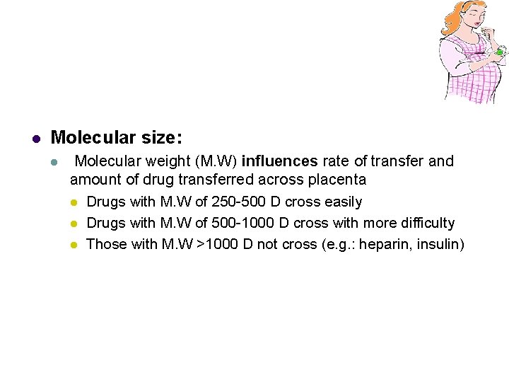 l Molecular size: l Molecular weight (M. W) influences rate of transfer and amount