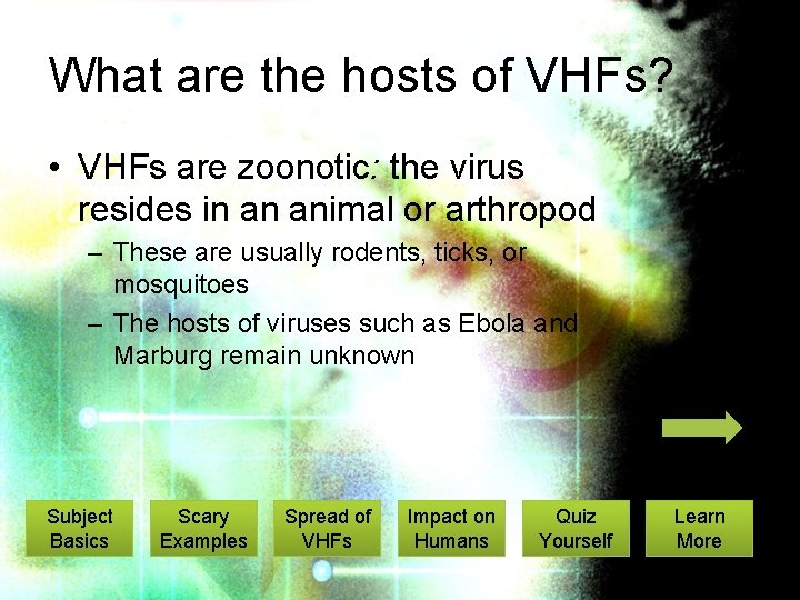 What are the hosts of VHFs? • VHFs are zoonotic: the virus resides in